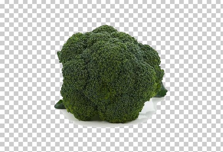 Broccoli Vegetable Cauliflower Chinese Cabbage PNG, Clipart, Broccoli, Cabbage, Encapsulated Postscript, Fresh, Fresh Broccoli Free PNG Download