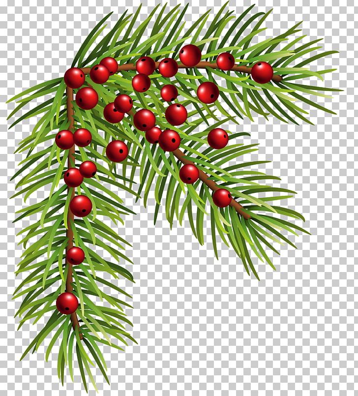 Christmas Decoration Santa Claus PNG, Clipart, Aquifoliaceae, Art Museum, Branch, Christmas, Christmas Decoration Free PNG Download