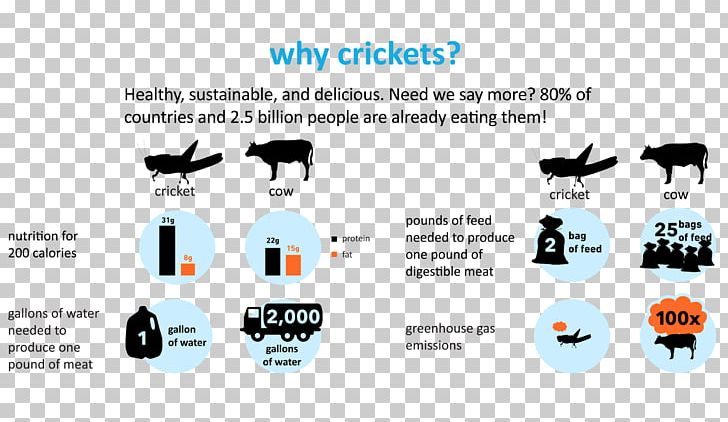 Cricket Flour Insect Beef House Cricket PNG, Clipart, Acheta, Animals, Beef, Brand, Cattle Free PNG Download
