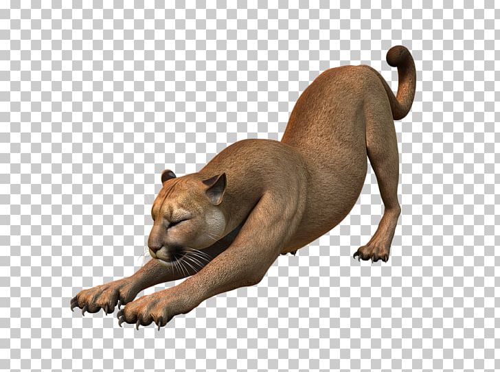 Dog Breed Cougar Cat Felinae Puppy PNG, Clipart, Big Cat, Big Cats, Blockchain, Carnivoran, Cat Free PNG Download