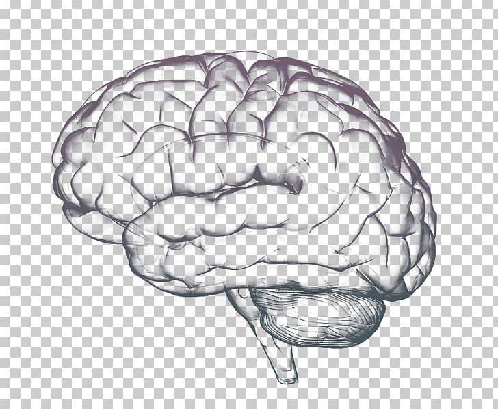 Thought Human Brain Cognition Science PNG, Clipart, Brain, Cognition, Distress, Drawing, Health Free PNG Download