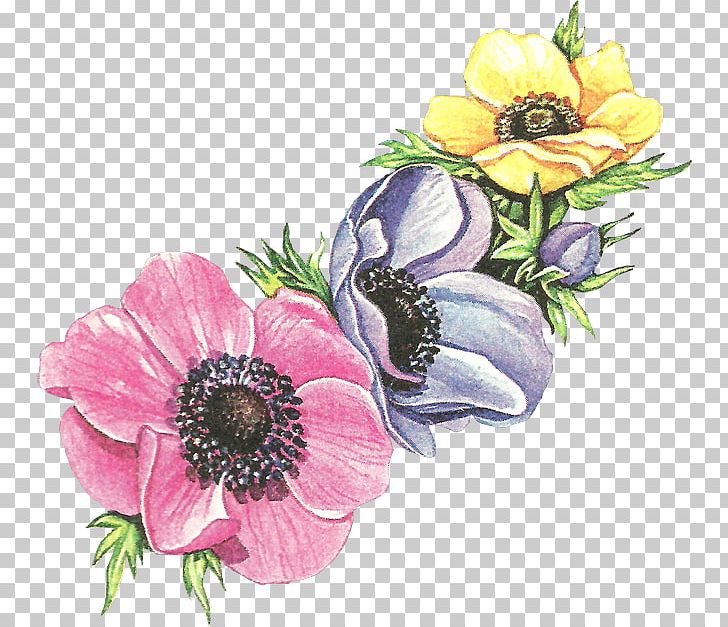 Vintage Clothing Cut Flowers Floral Design Retro Style PNG, Clipart, Anemone, Armoires Wardrobes, Arrangement, Clothing, Cut Flowers Free PNG Download