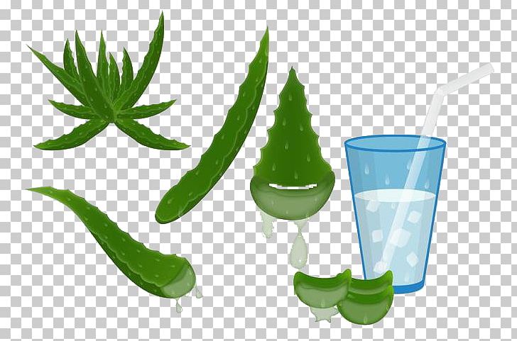 Aloe Vera Euclidean Agave Deserti PNG, Clipart, Adobe Illustrator, Agave, Agave Deserti, Alcohol Drink, Alcoholic Drink Free PNG Download
