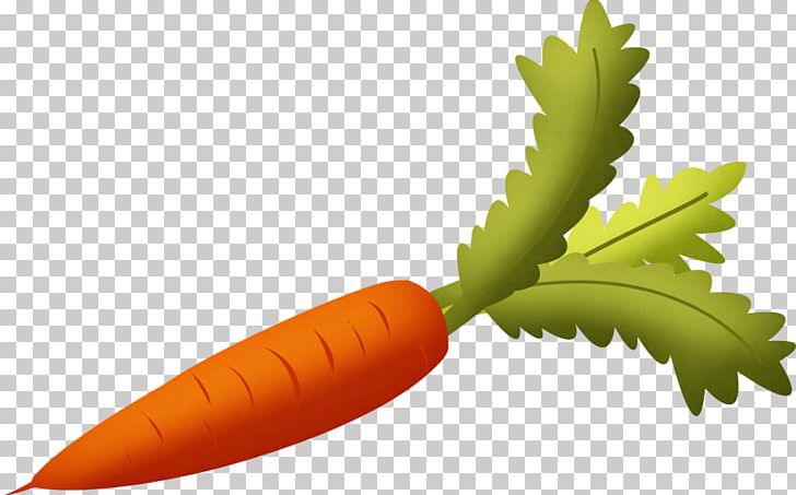Carrot Vegetable PNG, Clipart, Carrot, Carrot Juice, Computer Icons, Food, Fruit Free PNG Download