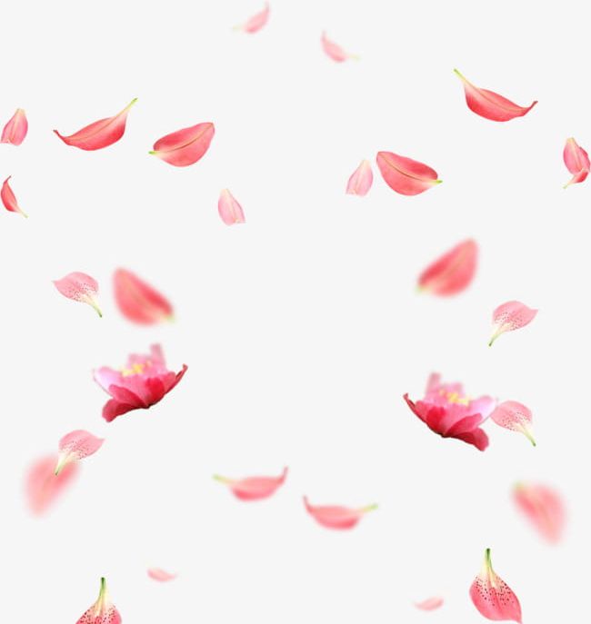 Cherry Blossom Petals Material PNG, Clipart, Blossom, Blossom Clipart, Blossoms, Cherry, Cherry Blossom Petals Free PNG Download
