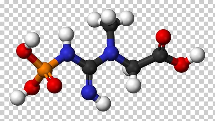 Dietary Supplement Phosphocreatine Creatine Supplements Adenosine Triphosphate PNG, Clipart, Adenosine Triphosphate, Arginine, Bodybuilding Supplement, Brain, Communication Free PNG Download