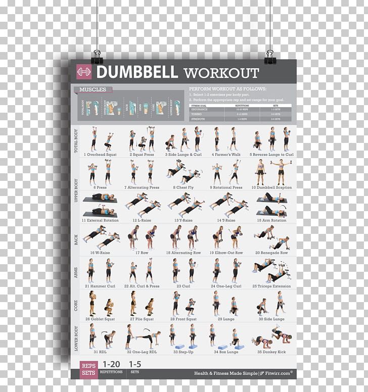 Dumbbell Exercise Strength Training Weight Training Physical Fitness PNG, Clipart, Arm, Brand, Dumbbell, Dumbbells, Endurance Free PNG Download
