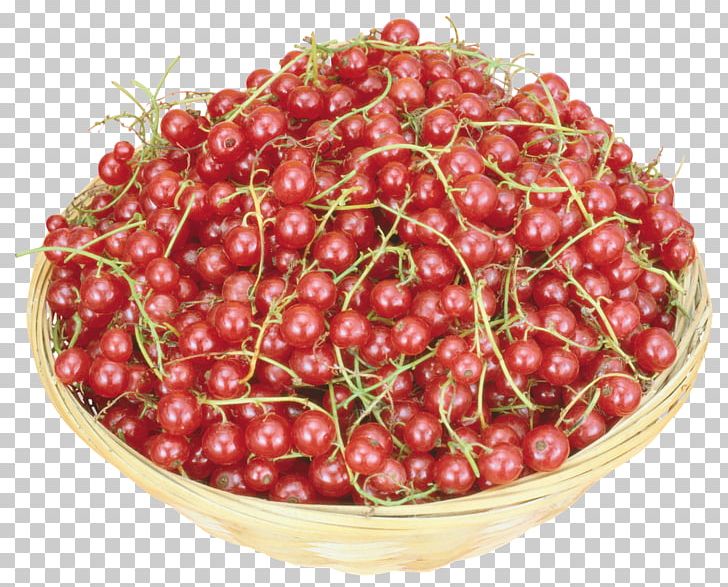 Cranberry Fruit Food Cherry PNG, Clipart, 3d Computer Graphics, Cherry, Currant, Draw, Food Free PNG Download