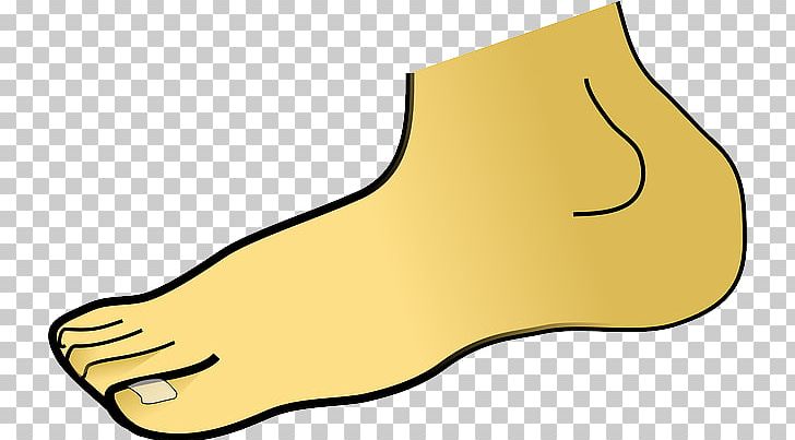 Foot PNG, Clipart, Ankle, Area, Body, Clip Art, Document Free PNG Download