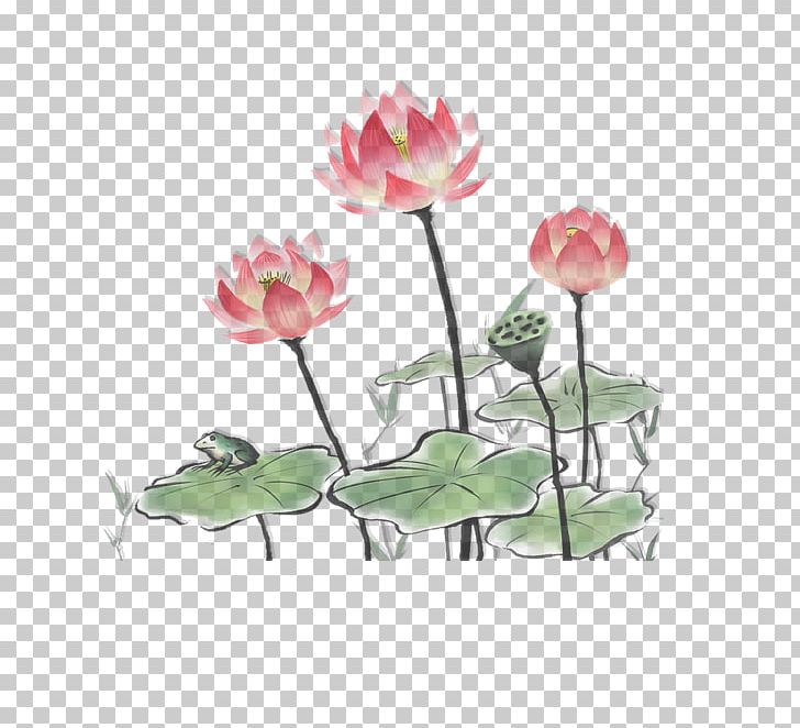 Manual Of The Mustard Seed Garden Chinese Painting Gongbi Nelumbo Nucifera Ink Wash Painting PNG, Clipart, Aquatic Plant, Chinese Style, Decorative, Flower, Herbaceous Plant Free PNG Download