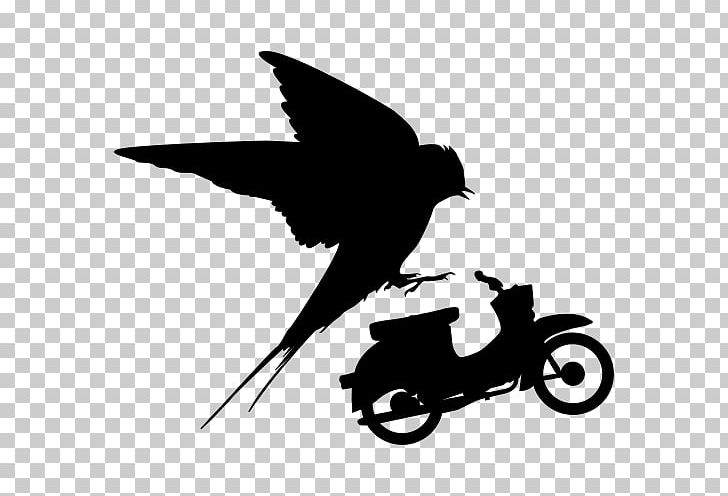 Swallow Beak Motorcycle Bird PNG, Clipart, Animal, Beak, Bicycle, Bird, Black Free PNG Download
