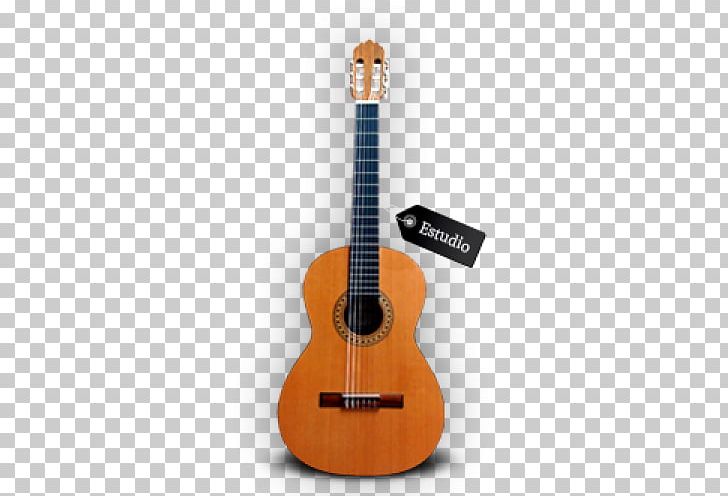 Tiple Acoustic Guitar Acoustic-electric Guitar Bass Guitar Cuatro PNG, Clipart, Acoustic Electric Guitar, Archtop Guitar, Classical Guitar, Cuatro, Guitar Accessory Free PNG Download