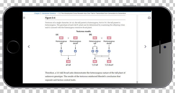 Smarty Mobile App Google Play Android Heart Arrhythmia PNG, Clipart, App Store, Atrial Fibrillation, Brand, Communication, Communication Device Free PNG Download