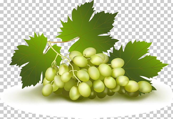 Wine Grape Fruit PNG, Clipart, Abstract, Abstract Background, Abstract Lines, Abstract Vector, Cherry Free PNG Download