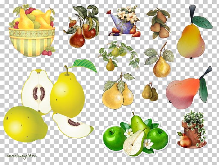 Amygdaloideae Pear Food Vegetarian Cuisine Fruit PNG, Clipart, Amygdaloideae, Apple, Diet Food, Eating, Food Free PNG Download