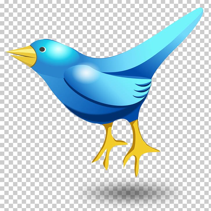 Bird PNG, Clipart, Beak, Bird, Blue, Cartoon, Character Free PNG Download