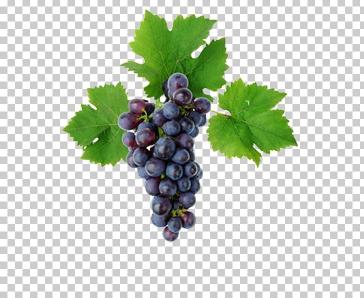 Kyoho Grape Leaves Vine Must PNG, Clipart, Berry, Cluster, Common Grape Vine, Flowering Plant, Food Free PNG Download