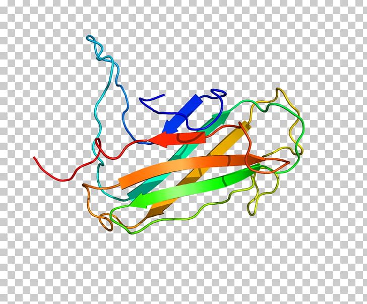 Lymphocyte Antigen 96 TLR4 Protein Toll-like Receptor Endotoxin PNG, Clipart, 1 T, Antigen, Area, Art, Artwork Free PNG Download