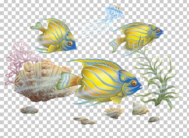 Colourful Fishes PNG, Clipart, Animals, Aquarium Decor, Blog, Clip Art, Colourful Free PNG Download