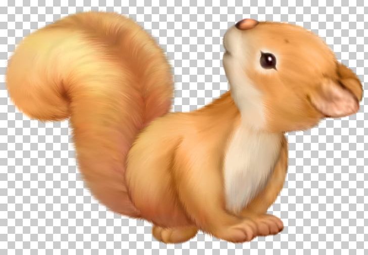 Squirrel Cuteness PNG, Clipart, Acorn, Animal Figure, Animals, Animation, Cuteness Free PNG Download