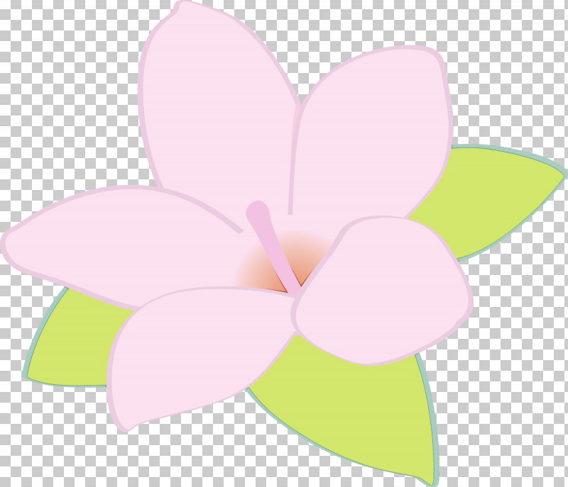 Floral Design PNG, Clipart, Biology, Floral Design, Flower, Jasmine, Jasmine Flower Free PNG Download