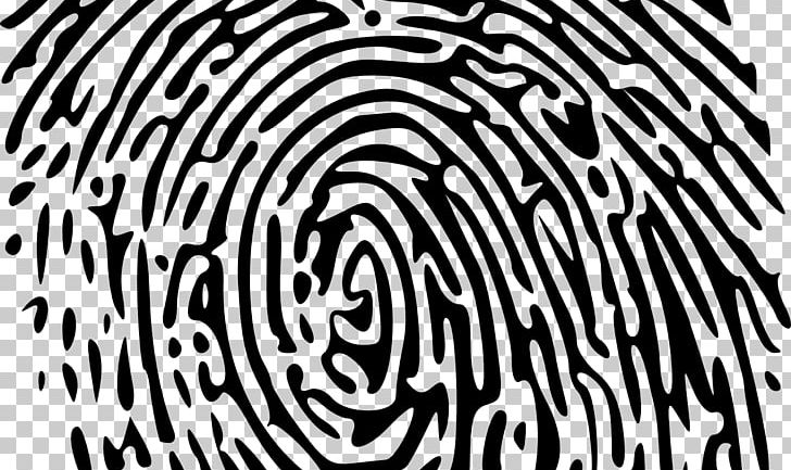 Device Fingerprint PNG, Clipart, Big Cats, Black, Black And White, Calligraphy, Carnivoran Free PNG Download