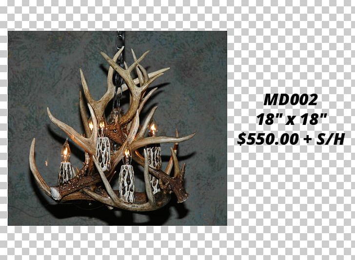 White-tailed Deer Antler Moose Elk PNG, Clipart, Animals, Antler, Antlers By Cody, Candle, Chandelier Free PNG Download