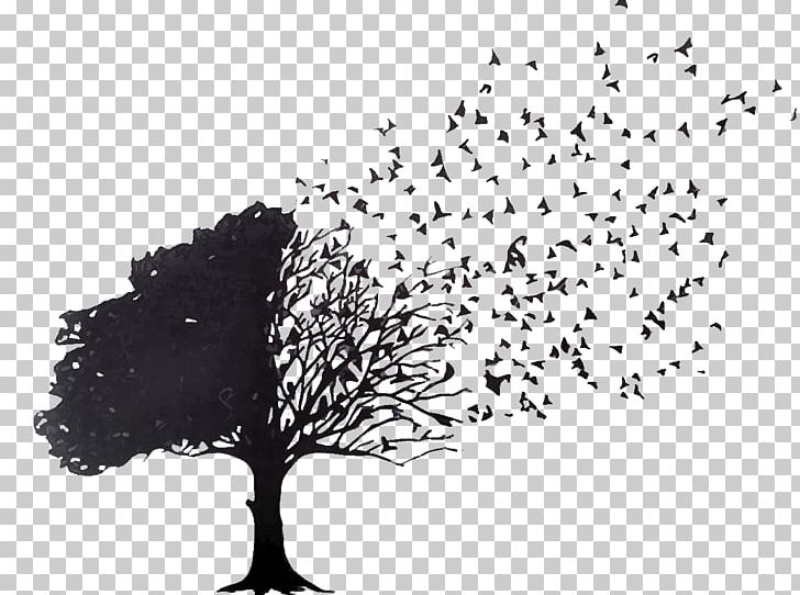 Bird Rescue Tree Emergency Medical Services PNG, Clipart, Animals, Bird, Bird Nest, Black And White, Branch Free PNG Download