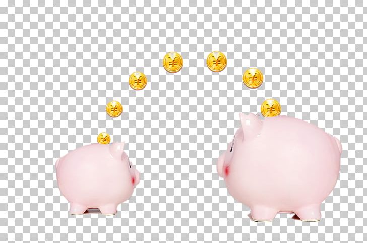 Domestic Pig Piggy Bank Pink PNG, Clipart, Bank, Banking, Creative, Creative Finance, Designer Free PNG Download