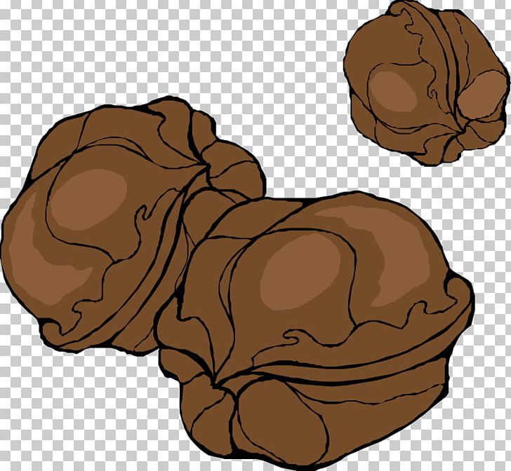 Walnut PNG, Clipart, Almond, Carnivoran, Clip On Nuts, Dog Like Mammal, Download Free PNG Download