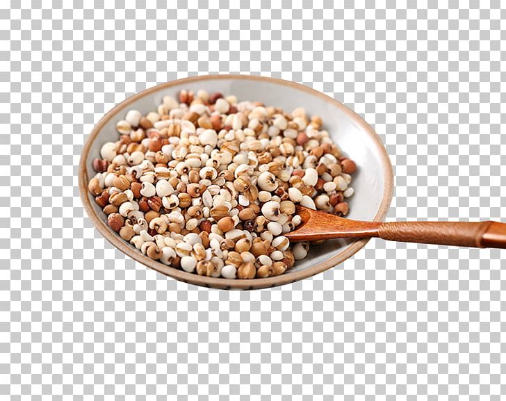 Cereal Adlay PNG, Clipart, Barley, Cereal, Color, Colorful Background, Coloring Free PNG Download