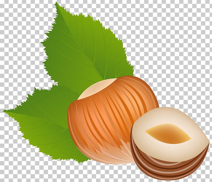 Hazelnut PNG, Clipart, Acorn, Almond, Can Stock Photo, Clipart, Clip Art Free PNG Download