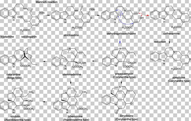 Indole Alkaloid Biosynthesis Terpenoid PNG, Clipart, Alkaloid, Angle, Area, Auto Part, Biosynthesis Free PNG Download