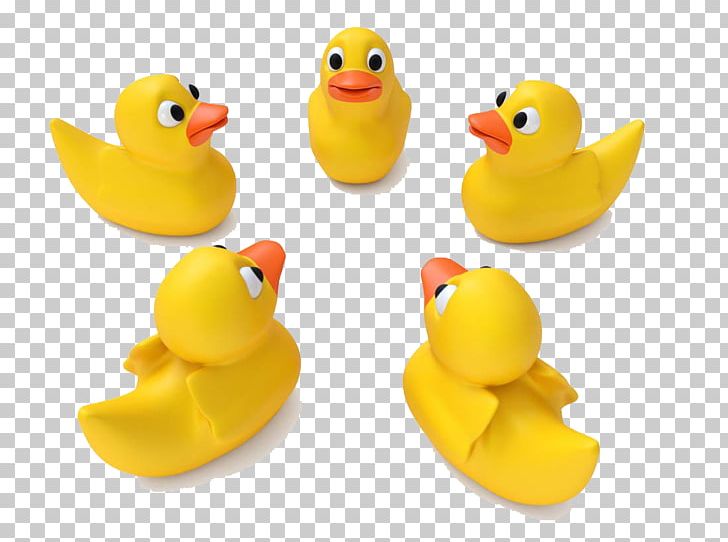 Little Yellow Duck Project Rubber Duck PNG, Clipart, Animals, Balloon Cartoon, Beak, Bird, Cartoon Free PNG Download