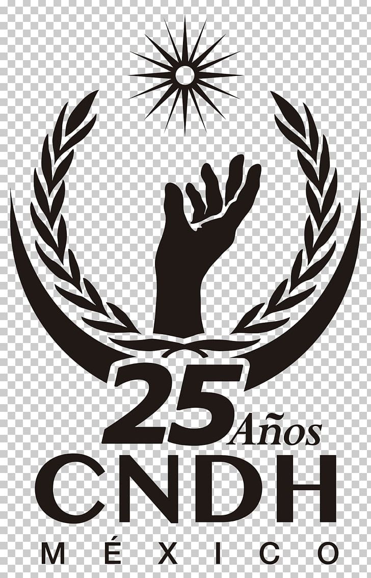 National Human Rights Commission Inter-American Court Of Human Rights Inter-American Commission On Human Rights PNG, Clipart, Court, Human Rights, Log, Mexico, Mexico City Free PNG Download