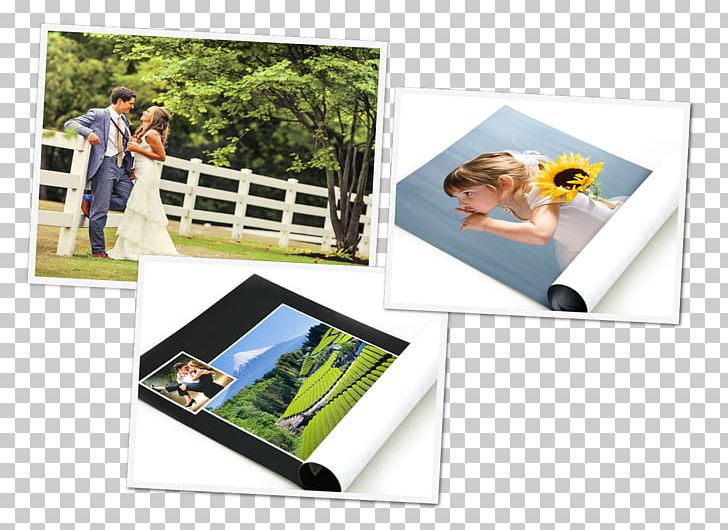 Photographic Paper Advertising Plastic Frames PNG, Clipart, Advertising, Miscellaneous, Others, Paper, Photographic Paper Free PNG Download