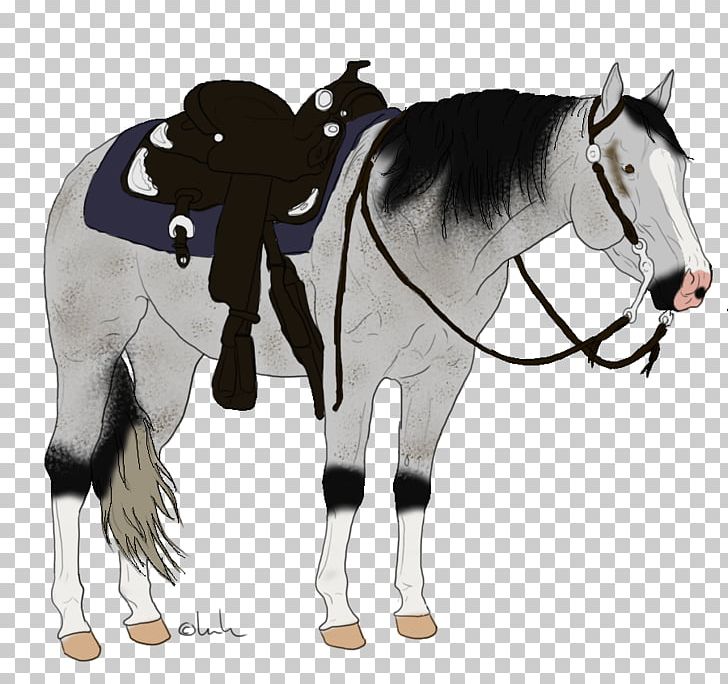 Horse Western Pleasure Mane Bridle Stallion PNG, Clipart, Animals, Bit, Bribe, Bridle, Colt Free PNG Download