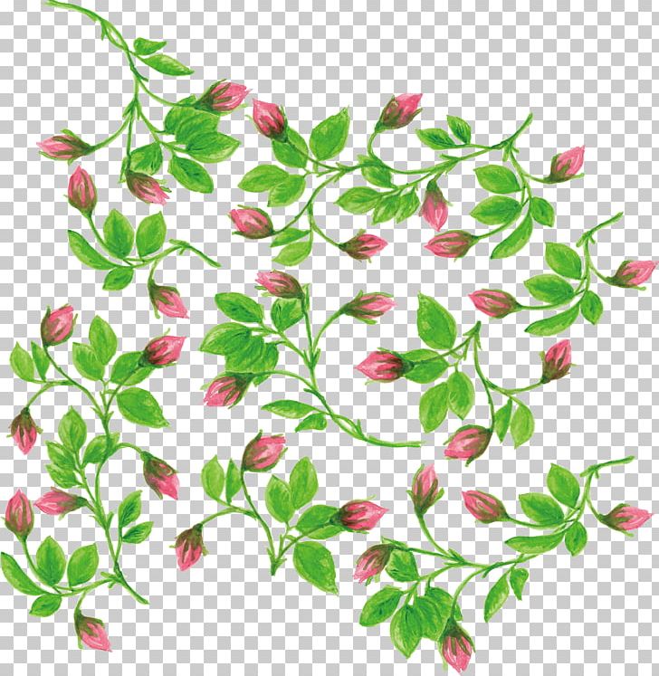 Watercolor Painting Flower PNG, Clipart, Branch, Clip Art, Color, Color Splash, Decorativ Free PNG Download