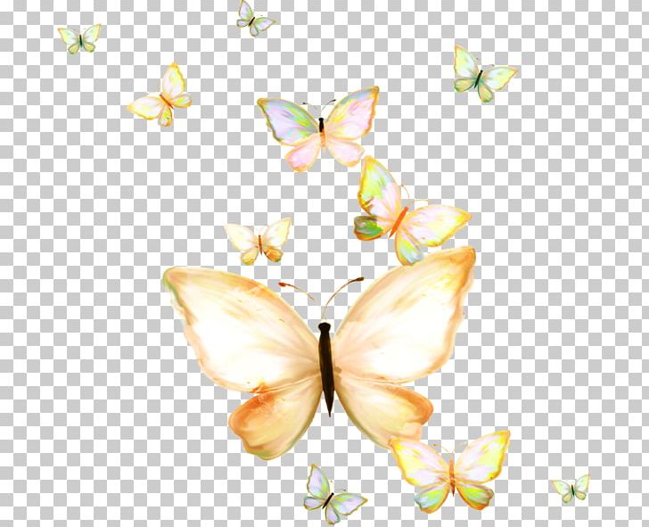 Butterfly Papillon Dog Nymphalidae PNG, Clipart, Beautiful, Blog, Brush Footed Butterfly, Butterfly Group, Flower Free PNG Download