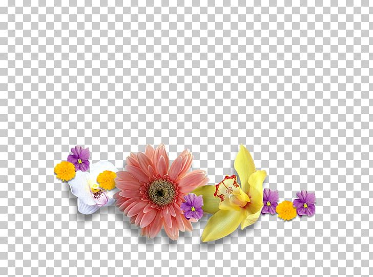 Floral Design Cut Flowers Petal PNG, Clipart, Color, Cut Flowers, Floral Design, Floristry, Flower Free PNG Download