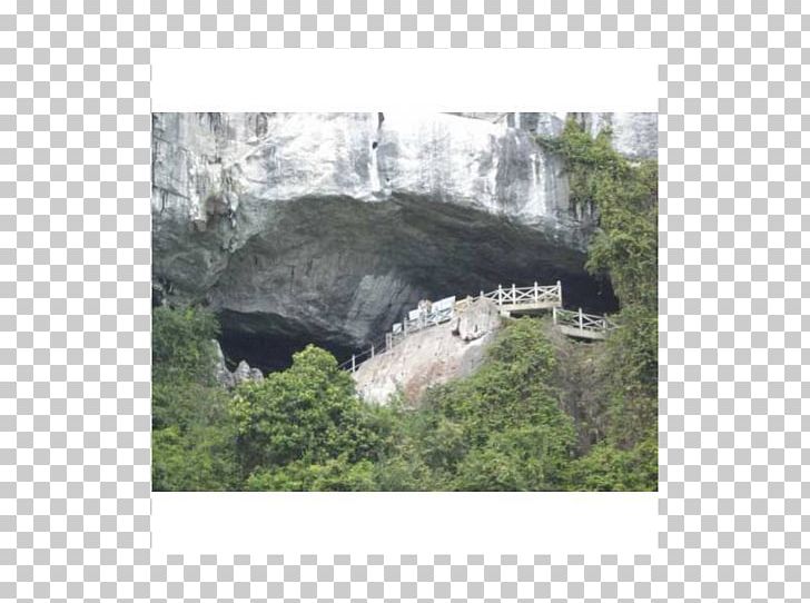 Ha Long Bay Hang Sửng Sốt Cave Fauna Ecosystem PNG, Clipart, Bay, Cave, Ecosystem, Fauna, Grass Free PNG Download