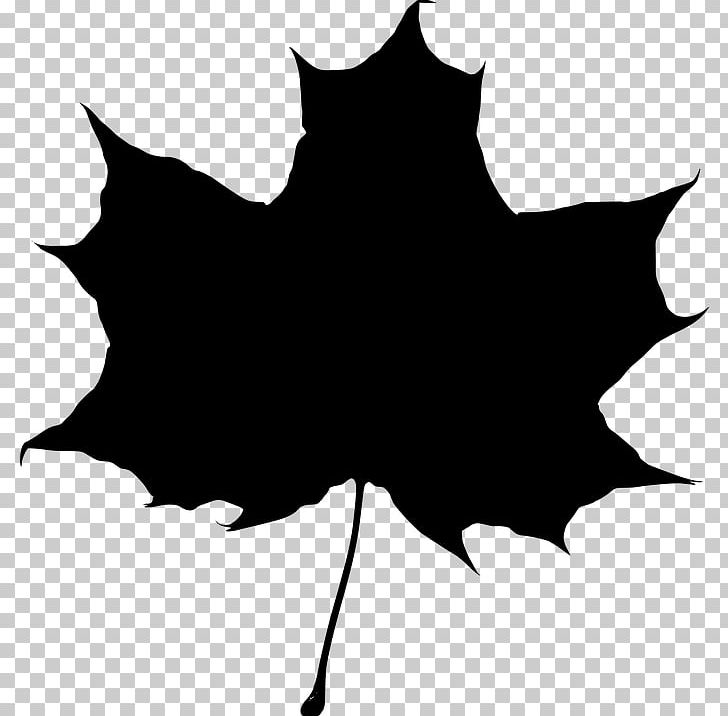 Maple Leaf Silhouette PNG, Clipart, Autumn Leaf Color, Black, Black And White, Branch, Clip Art Free PNG Download
