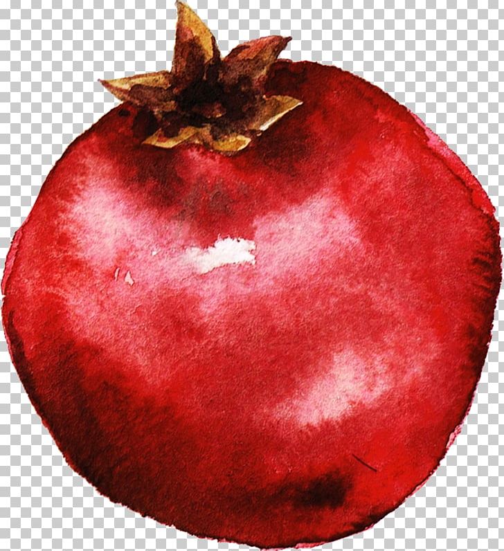 Pomegranate Juice Kiwifruit Watercolor Painting Illustration PNG, Clipart, Apple, Auglis, Christmas Ornament, Food, Fruit Free PNG Download