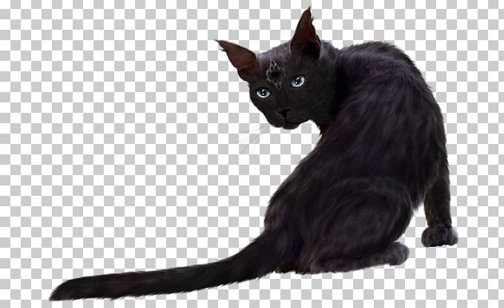 Bombay Cat Kitten Norwegian Forest Cat Persian Cat Maine Coon PNG, Clipart, Animals, Black Cat, Bombay, Bombay Cat, Carnivoran Free PNG Download