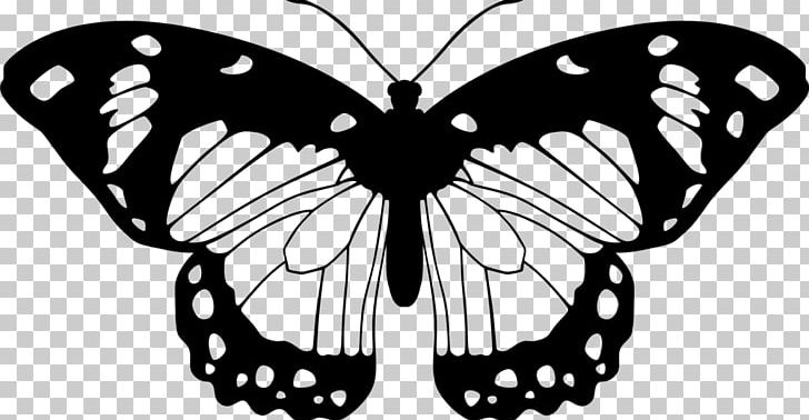 Butterfly Black And White PNG, Clipart, Art, Arthropod, Black And White, Brush Footed Butterfly, Butt Free PNG Download