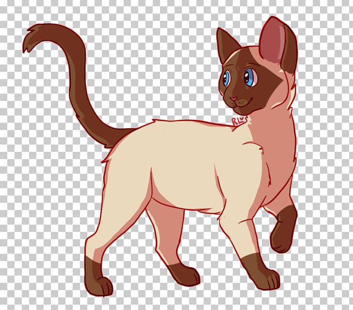 Kitten Whiskers Dog Cat Pikachu PNG, Clipart, Animals, Canidae, Carnivoran, Cartoon, Cat Free PNG Download