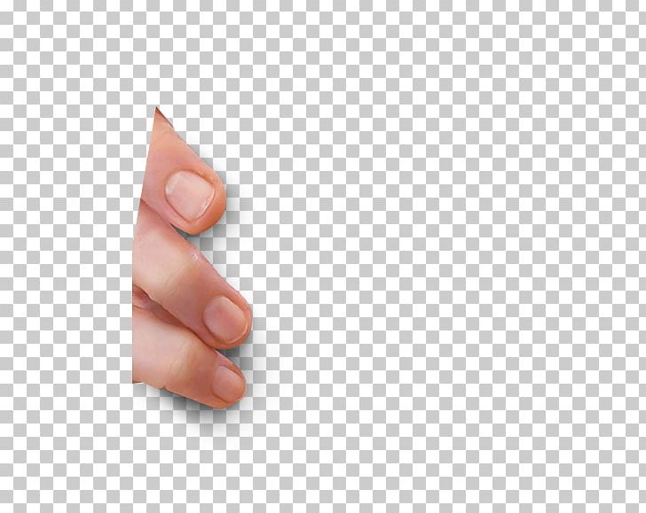 Nail Hand Model Thumb Close-up PNG, Clipart, Closeup, Closeup, Finger, Hand, Hand Model Free PNG Download