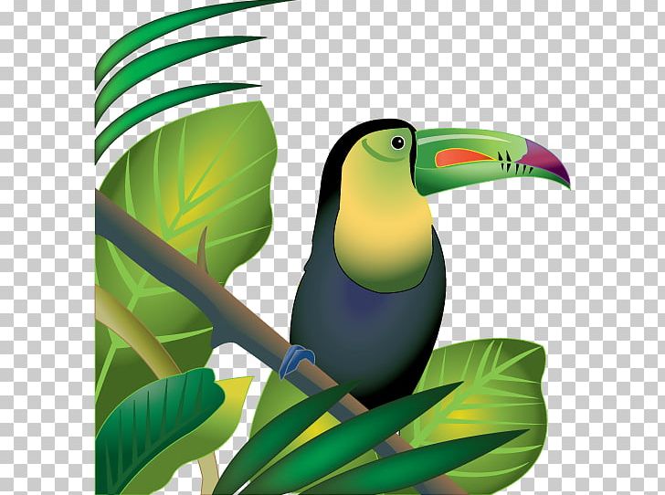 Amazon Rainforest Tropical Rainforest Jungle PNG, Clipart, Amazon Rainforest, Beak, Bird, Birds Of The Amazon, Clip Art Free PNG Download