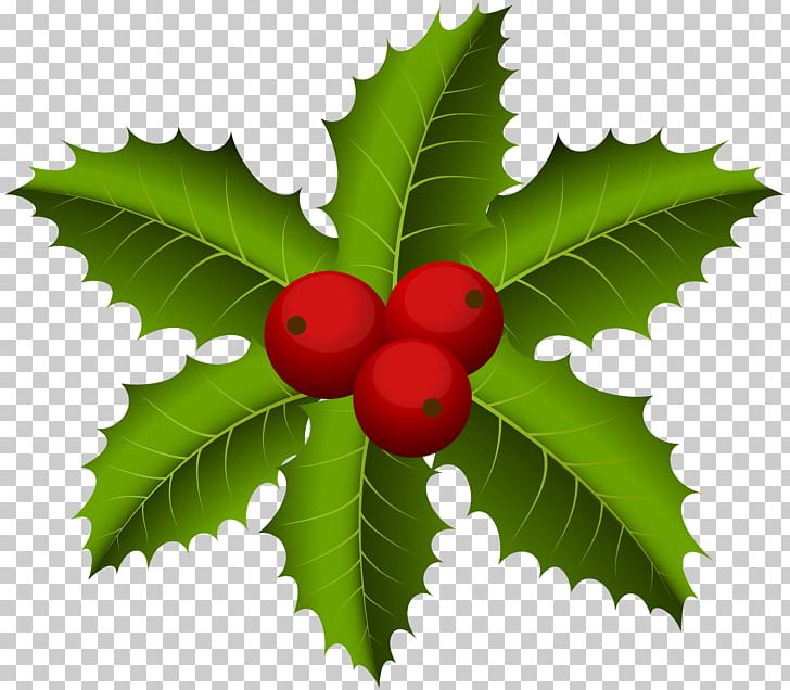 Drawing PNG, Clipart, Aquifoliaceae, Aquifoliales, Art, Cherry, Christmas Free PNG Download