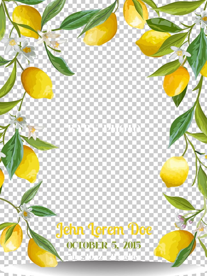 Lemon PNG, Clipart, Background, Border, Border Texture, Branch, Citric Acid Free PNG Download